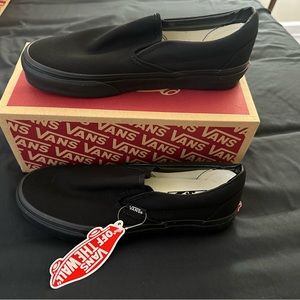 Vans Slip-On Skate Shoe